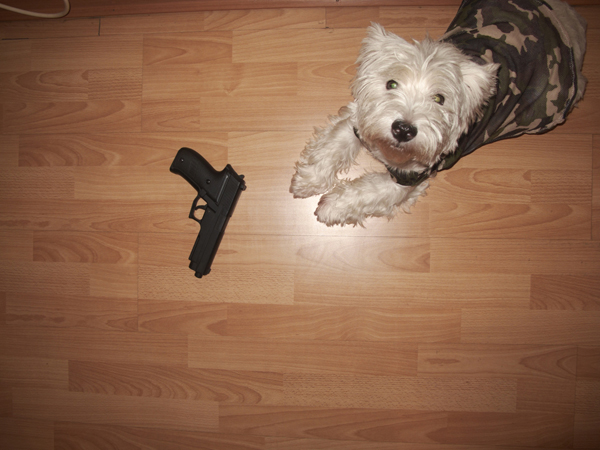 dixieandpistol