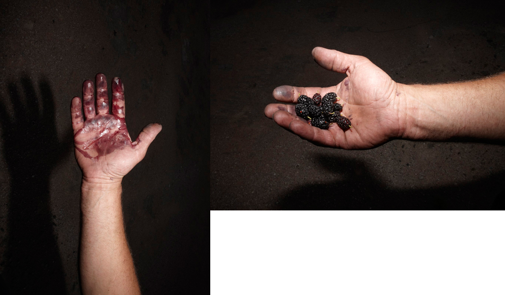 hands